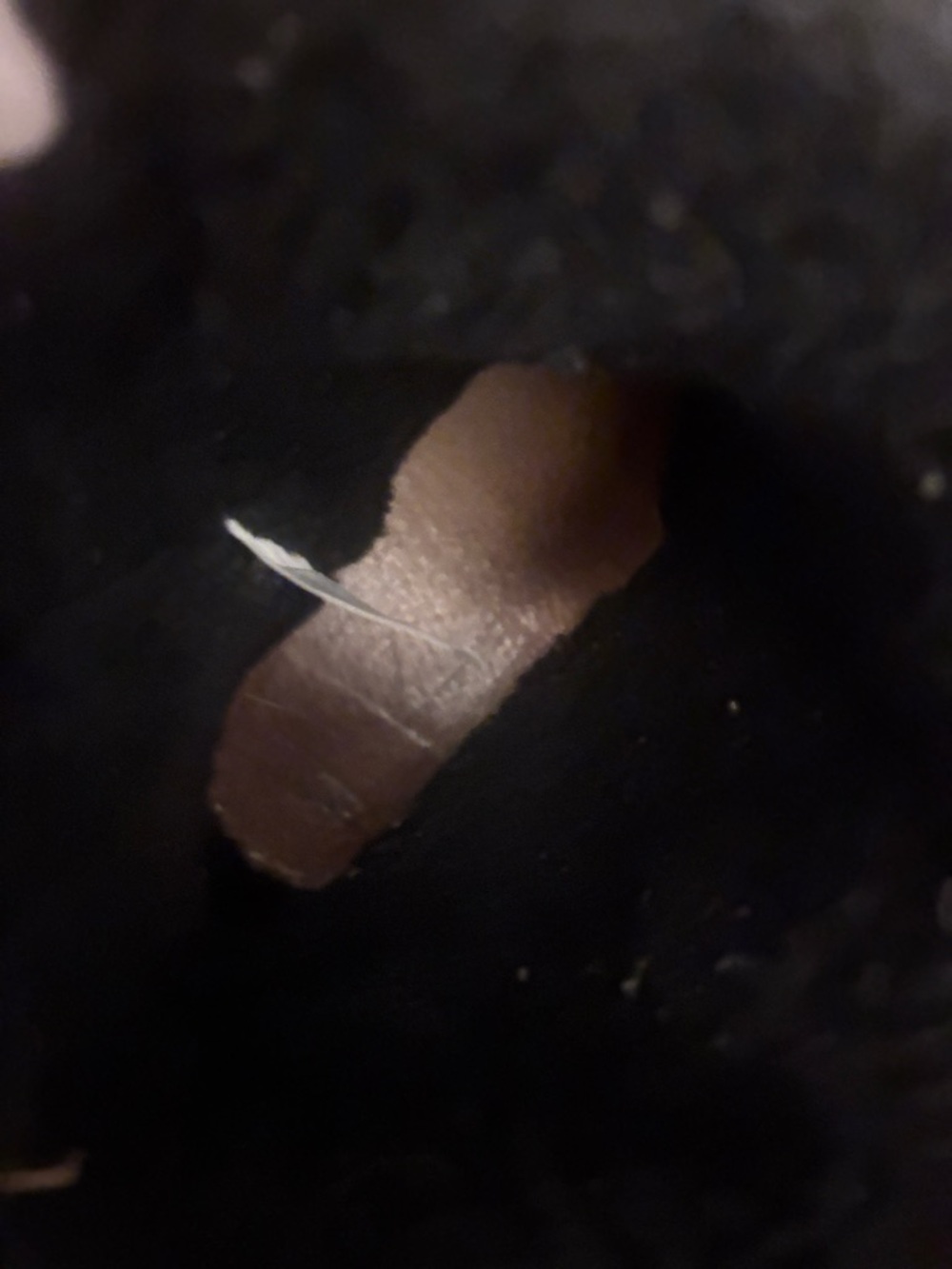 UGG Black Shearling-Lined Ankle Booties - Picture 5 of 8
